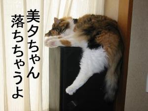 ひっ左足が・・