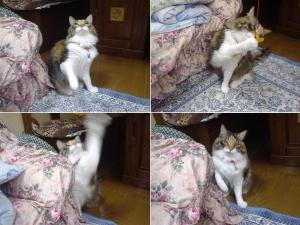 フライングバグで遊ぶ