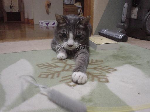 トォ～～ッ！