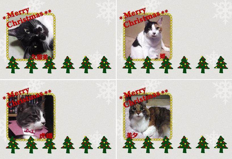Ｘ’ｍａｓ　Ｃａｒｄ　頂きました