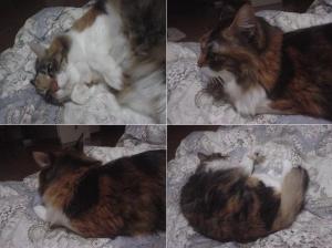 視線をそらす美夕（＾＾；；