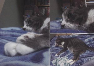 ウトウト～（－－。。o0